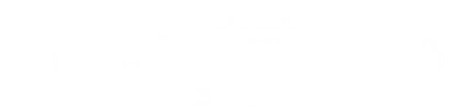 Partner logo 12